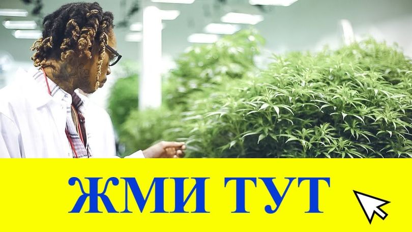 Купить наркотики в Пскове